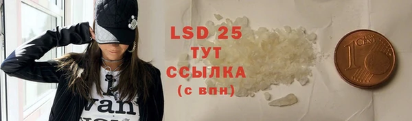 ГАЛЛЮЦИНОГЕННЫЕ ГРИБЫ Абаза